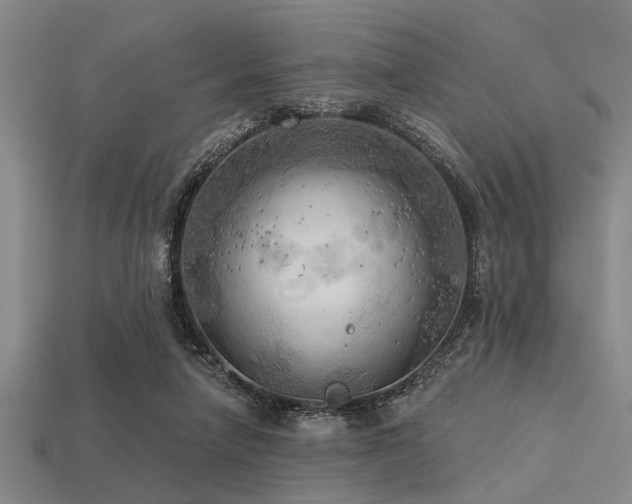 X0000113340258200909151137