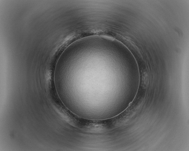 X0000113340260200909151137