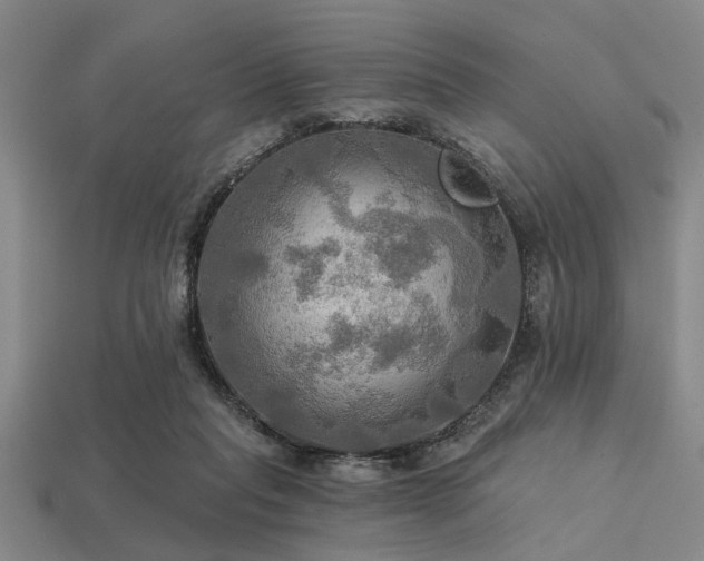 X0000113340261200909151137