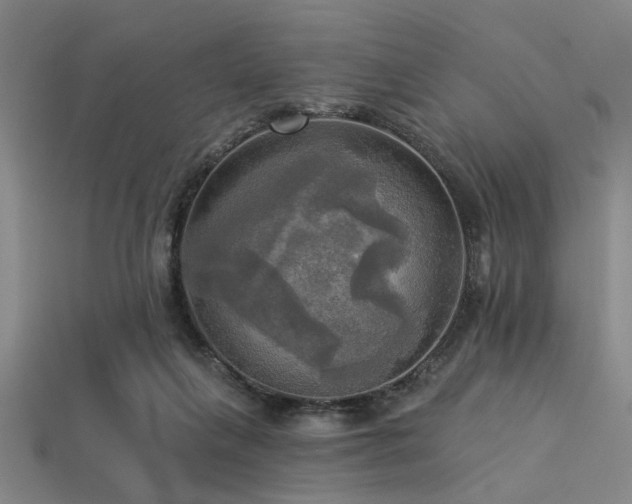 X0000113340263200909151137