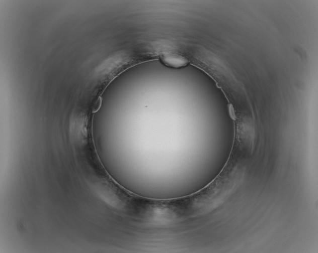 X0000113340264200909151137