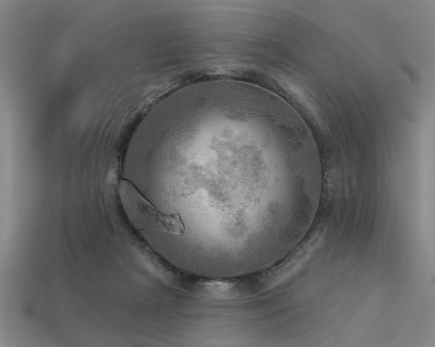 X0000113340265200909151137