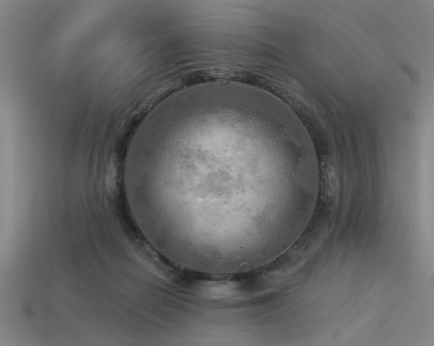 X0000113340266200909151137