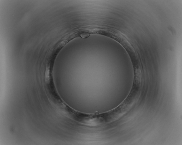 X0000113340267200909151137