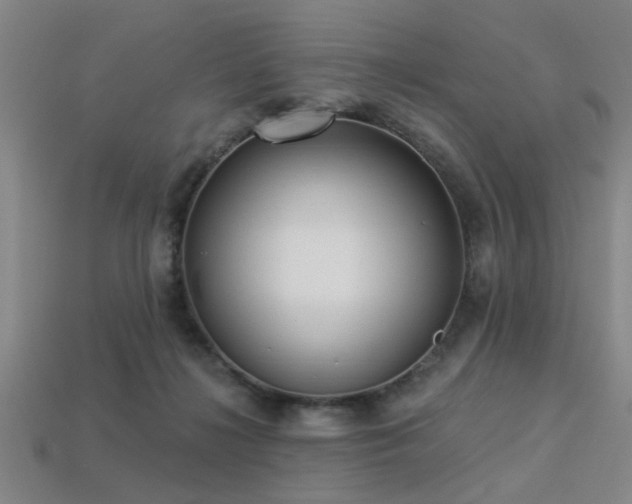 X0000113340268200909151137