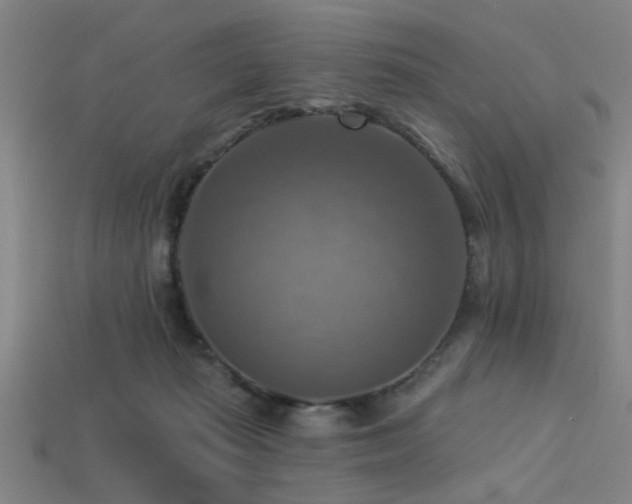X0000113340269200909151137
