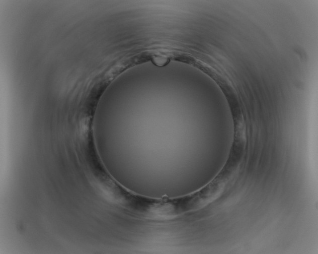 X0000113340271200909151137