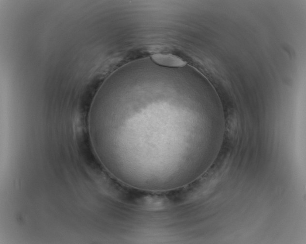 X0000113340272200909151137