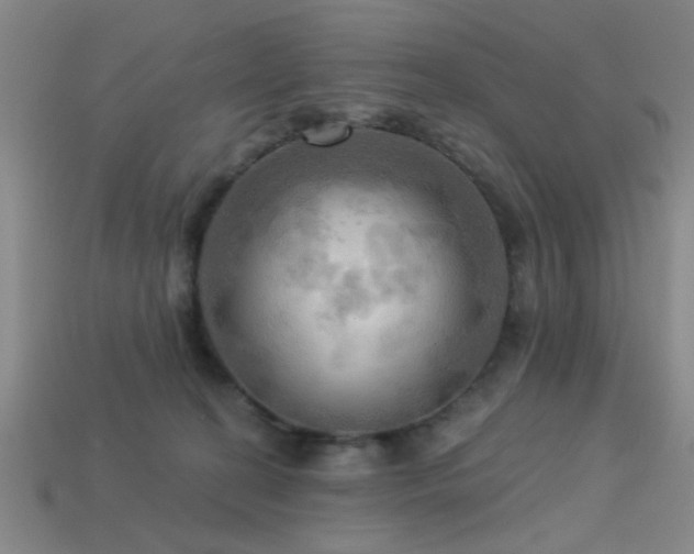 X0000113340274200909151137