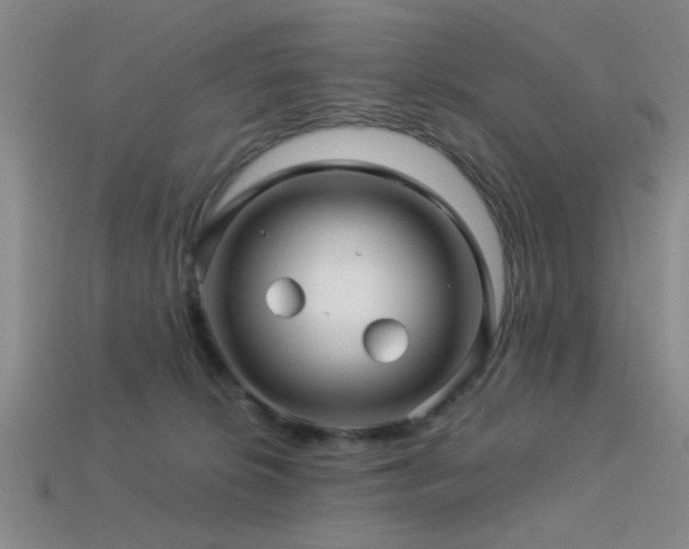 X0000113340276200909151137