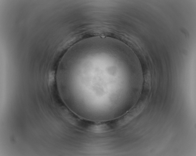 X0000113340278200909151137