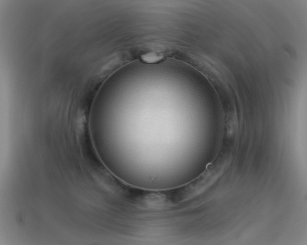 X0000113340279200909151137