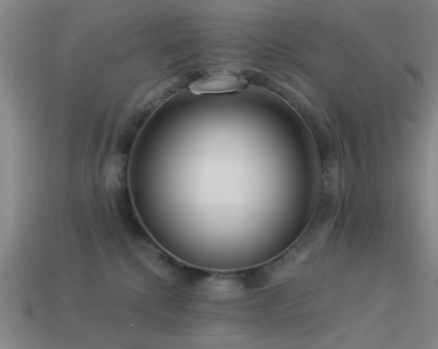 X0000113340280200909151137