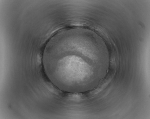 X0000113340282200909151137