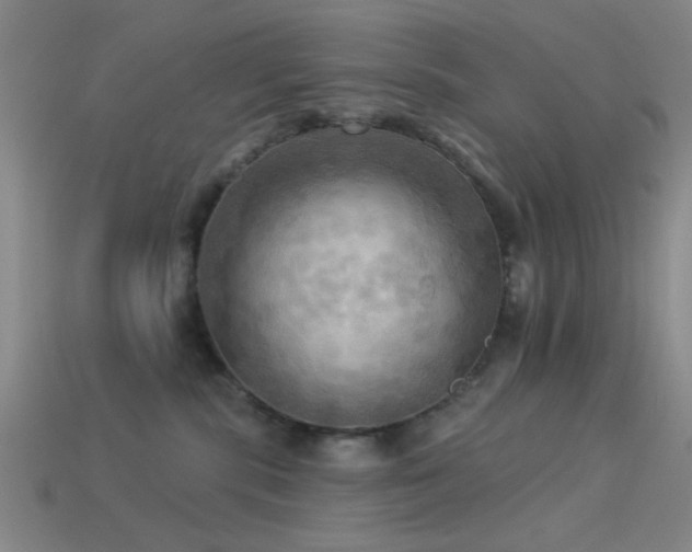 X0000113340283200909151137