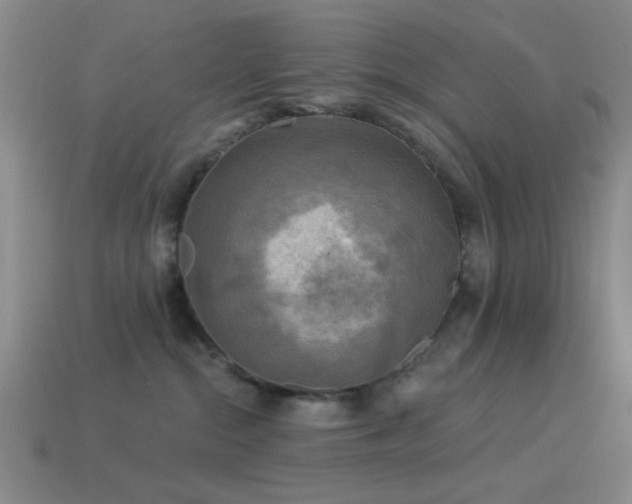 X0000113340284200909151137
