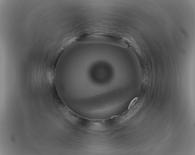 X0000113340285200909151137