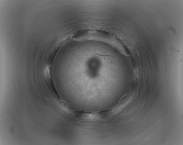 X0000113340286200909151137