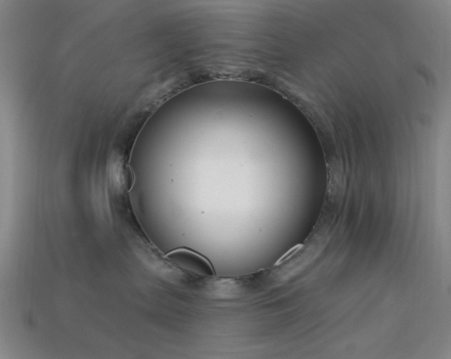 X0000113340287200909151137