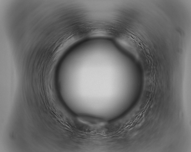 X0000113340289200909151137
