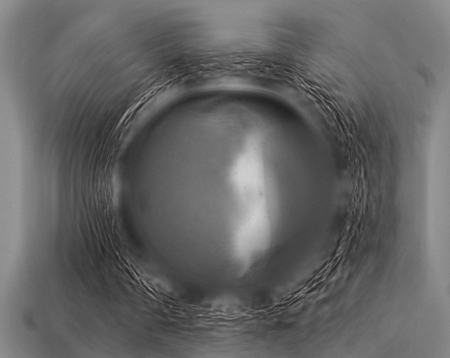 X0000113340290200909151137