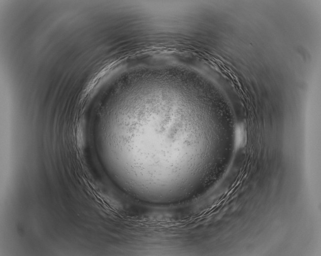 X0000113340291200909151137