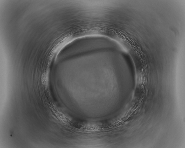 X0000113340292200909151137
