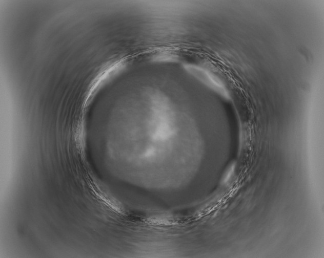 X0000113340293200909151137