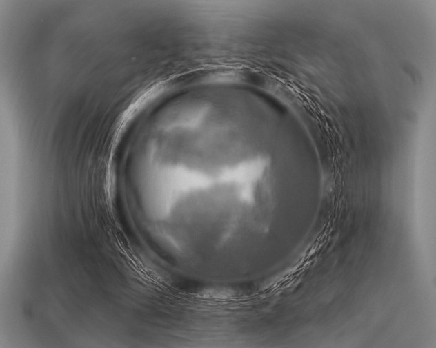 X0000113340294200909151137