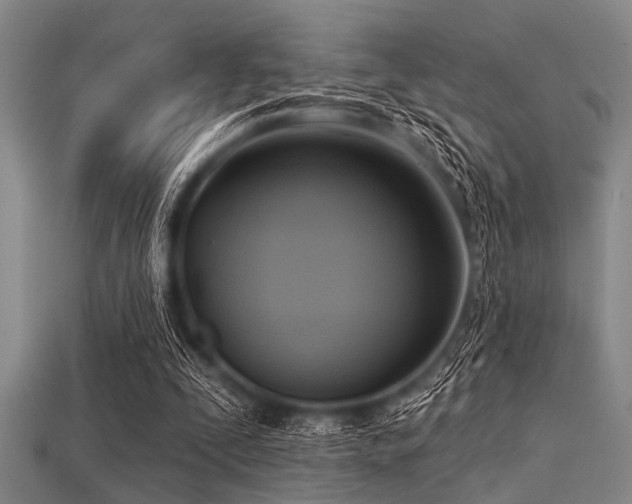 X0000113340295200909151137