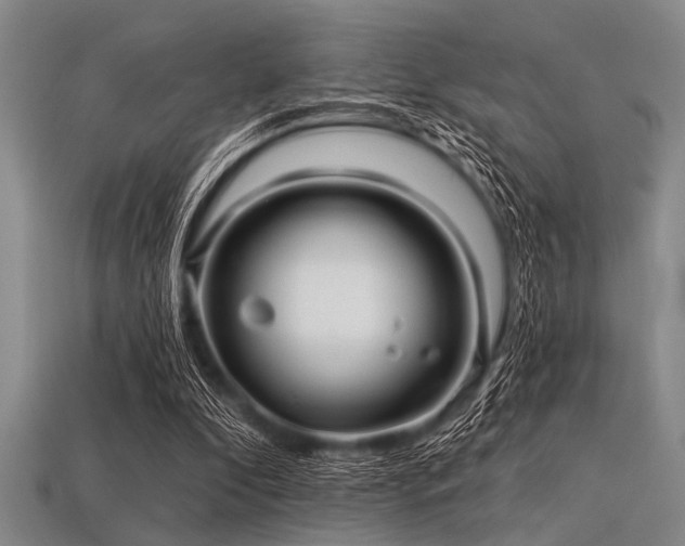 X0000113340296200909151137