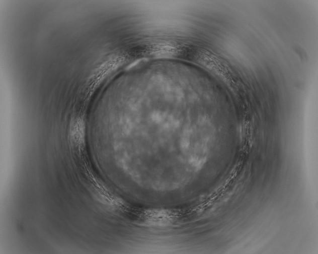 X0000113340297200909151137