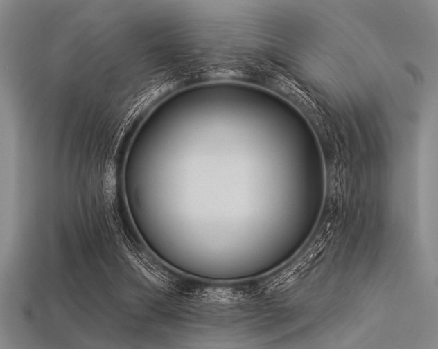 X0000113340298200909151137