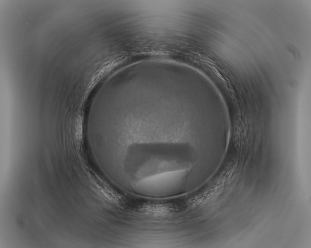 X0000113340299200909151137