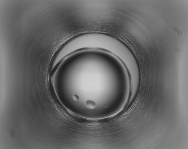X0000113340301200909151137