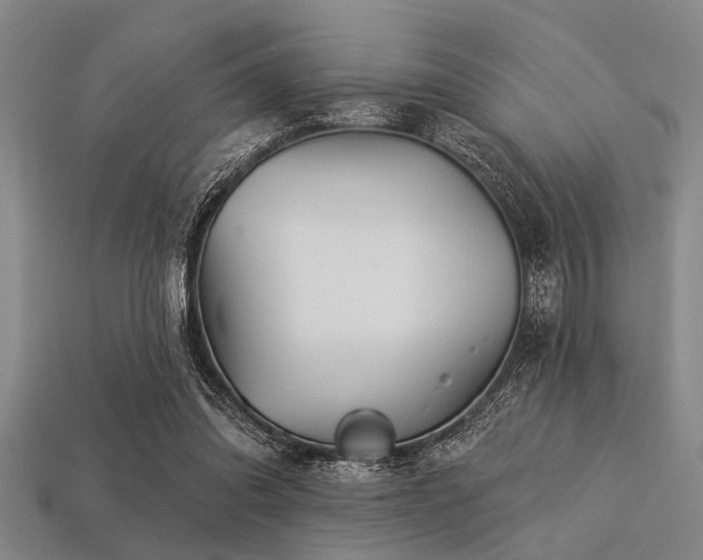 X0000113340302200909151137