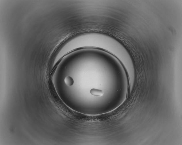 X0000113340304200909151137