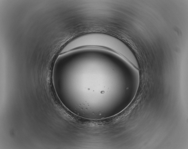 X0000113340305200909151137
