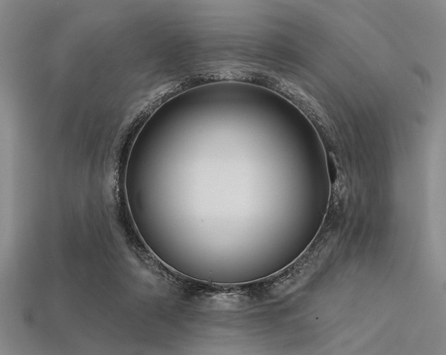 X0000113340306200909151137