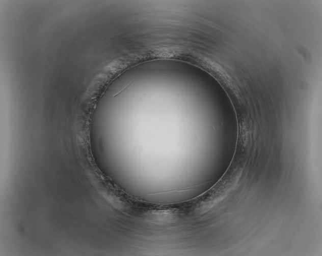 X0000113340307200909151137