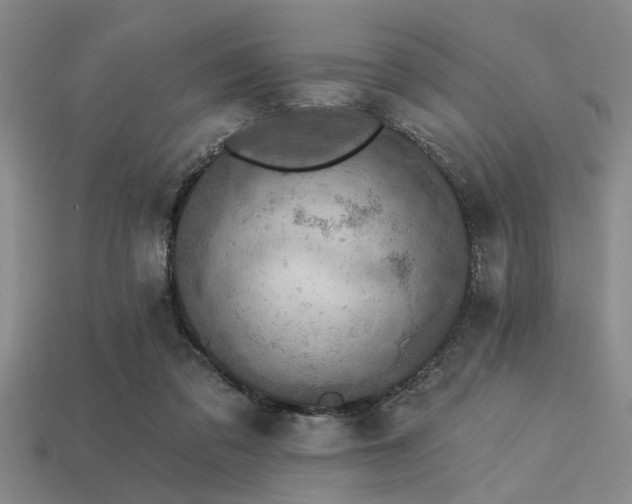 X0000113340309200909151137