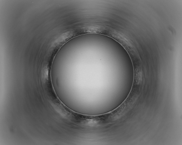 X0000113340310200909151137