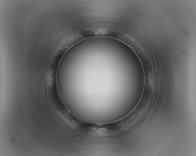 X0000113340311200909151137