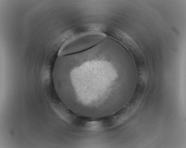 X0000113340312200909151137