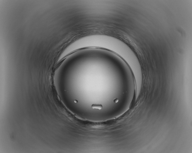 X0000113340313200909151136