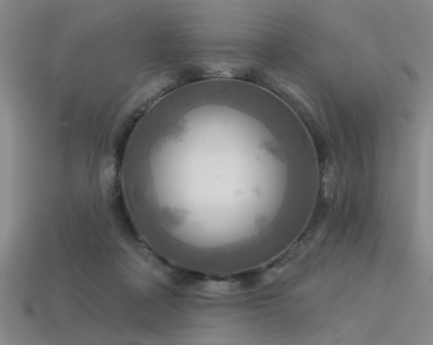 X0000113340314200909151136