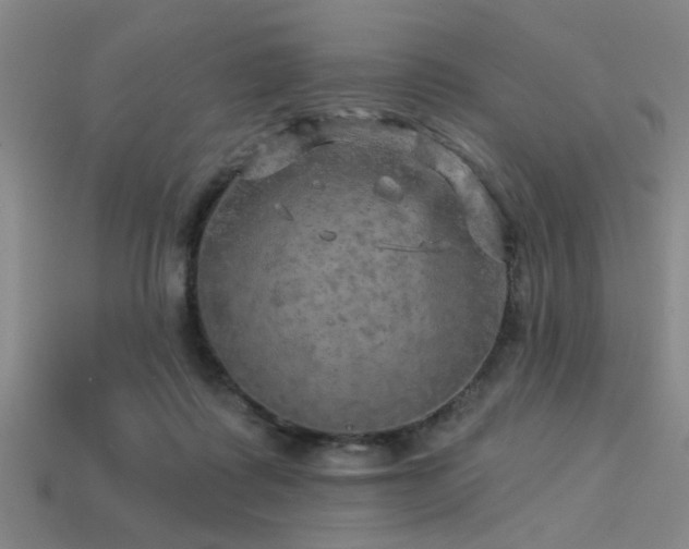 X0000113340315200909151136
