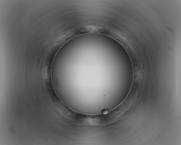 X0000113340317200909151136