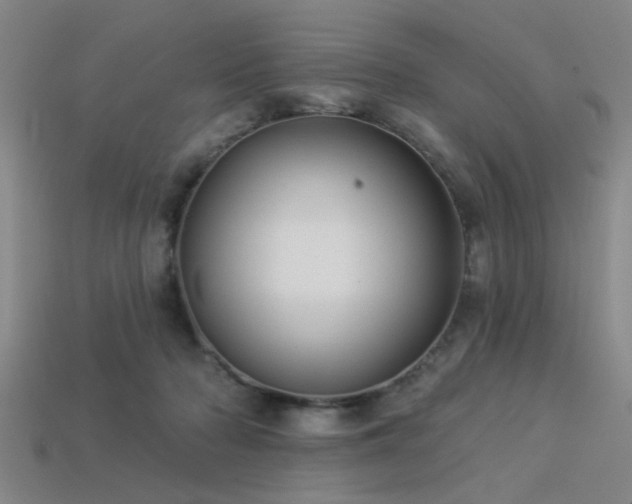 X0000113340318200909151136