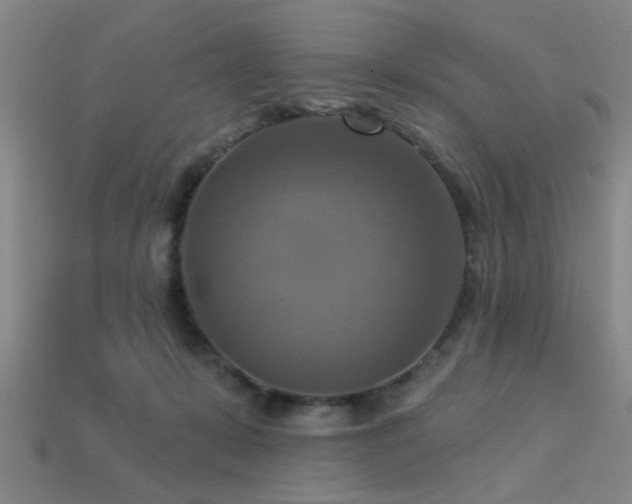 X0000113340319200909151136